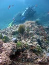 Vertical shot of a scuba diver wearing diving suit, fins and equipment swimming near coral reefs Royalty Free Stock Photo