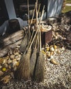 Vertical shot of a set sweep of sticks on a pile of Oysterseafood with house extra things