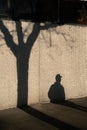 Vertical shot of shadows of a person wearing a hat and a tree on the wall Royalty Free Stock Photo