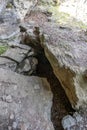 Vertical shot of sharp rocks in a cave in a forest with pebbles and pollen