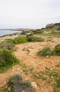 Vertical shot of the shore of the lake covered by soil and grass under the blue sky Royalty Free Stock Photo