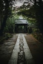 Vertical shot of a shrine nestled in the middle of the woods during the day