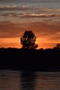 Vertical shot of a silhouette of a forest tree near a lake under a sunset sky Royalty Free Stock Photo