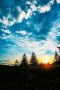 Vertical shot of the silhouette of grass and trees at a field against a beautiful sunset sky Royalty Free Stock Photo