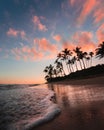 Vertical shot of the silhouette of the tall palm trees on a calm beach with pink clouds