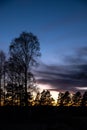 Vertical shot of silhouettes of trees n front of the sky covered with the light of the setting sun Royalty Free Stock Photo