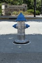 Vertical shot of a silver and blue fire hydrant with a University of Missouri sign across the street