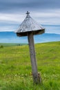 Vertical shot, simple hand carved tilted pine wood catholic cross