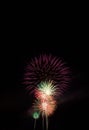 Vertical shot of skyrockets exploding in the night sky on the Fourth of July. Royalty Free Stock Photo