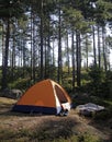 Vertical shot of a sleeping tent in a forest surrounded by trees Royalty Free Stock Photo