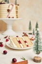 Vertical shot of a slice of Christmas cake on a plate