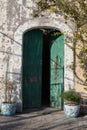 Vertical shot of a slightly open wooden green door next to pots of plants Royalty Free Stock Photo