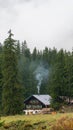 Vertical shot of a small cozy wood cabin with a chimney smoke in the mountains of Lenk, Switzerland