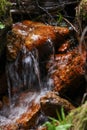 Vertical shot of a small forest hillside waterfall streaming into the rocks Royalty Free Stock Photo