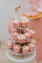 Vertical shot of small pink cupcakes for a birthday party on a three-tiered tray