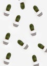 Vertical shot of small potted cactus plants isolated on a white background Royalty Free Stock Photo