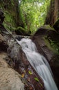 Vertical shot of a small stream through the mossy stones in the jungle Royalty Free Stock Photo