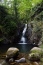 Vertical shot of a small waterfall cascading down in a forest next to rocks Royalty Free Stock Photo