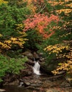 Vertical shot of a small waterfall flowing over rocks in a forest Royalty Free Stock Photo