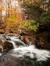 Vertical shot of a small waterfall flowing over rocks in a forest Royalty Free Stock Photo