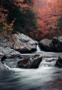 Vertical shot of a small waterfall flowing over rocks in a forest Royalty Free Stock Photo