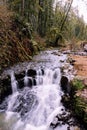 Vertical shot of a small waterfall surrounded by greenery in a forest at daytime Royalty Free Stock Photo