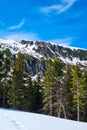 Vertical shot of the snow-capped mountain peaks and firs under the blue sky