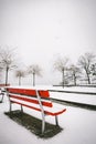 Vertical shot of snowflakes falling on bare tree branches and benches making everything white