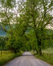 Vertical shot of the soft sunrise in Cades Cove in Great Smoky Mountains National Park Royalty Free Stock Photo