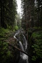 Vertical shot of Sol Duc Falls. Olympic National Park, state of Washington, USA. Royalty Free Stock Photo