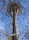 Vertical shot of the Space Needle behind tree branches located in Seattle, USA, during daylight