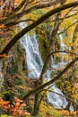 Vertical shot of a splashing waterfall in the autumn forest
