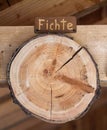 Vertical shot of a spruce tree ring with the word \