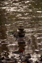 Vertical shot of a stack of balancing rocks in the water - zen concept