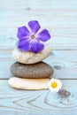 Vertical shot of a stack of rocks with a purple periwinkle flower on top and a daisy flower