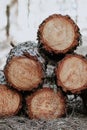 Vertical shot of a stack of wood logs Royalty Free Stock Photo