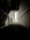 Vertical shot of stairs going down to the hall with a white wooden door Royalty Free Stock Photo