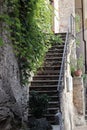 Vertical shot of stairs, green vines on the white wall and two plant pots