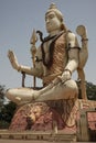 Vertical shot of the statue of Buddha in Nageshwar Shiva Temple Goriyali in India