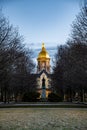 Vertical shot of the statue of Notre Dame in front of a building with golden top, trees