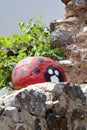 Vertical shot of a stone ladybug decoration Royalty Free Stock Photo