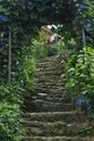 Vertical shot of a stone stairway with a garden archway overhead, on a sunny day