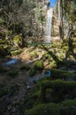 Vertical shot of stones covered with moss in a lake under the Waterfall Butori in Istria, Croatia Royalty Free Stock Photo