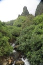 Vertical shot of a stream flowing between green plant bushes in Iao Valley, West Maui, Hawaii Royalty Free Stock Photo