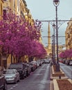 Vertical shot of streets lines with cars and pink trees in Beirut, Lebanon Royalty Free Stock Photo