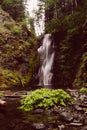 Vertical shot of a strong waterfall falling in the river in the middle of a forest Royalty Free Stock Photo