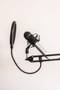 Vertical shot of studio microphone with pop filter isolated on white background Royalty Free Stock Photo