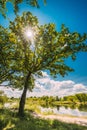 Vertical Shot Sunlight Sun Rays Shine Through Oak Woods In Summer Forest Landscape Near Lake River. Countryside Road