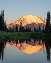 Vertical shot of Sunrise on Mt Rainier mountain reflecting in Tipsoo lake Royalty Free Stock Photo