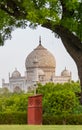 Vertical shot of Taj Mahal seen from behind a tree Royalty Free Stock Photo